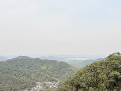-龙井村