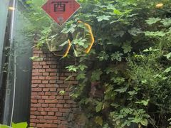-鲁菜根·泰山菜(泰山店)
