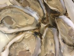 -千岛蚝高压锅生蚝·人参火锅(白云万达店)