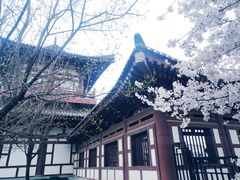 -西安青龙寺遗址景区