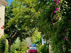 -三圣花乡旅游区