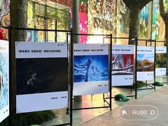 -西安电影制片厂