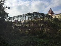 -广州世界大观
