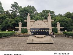 -大奇山国家森林公园