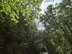 -素山寺森林公园