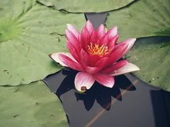 -竹西公园