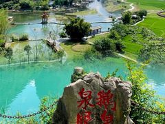 -靖西鹅泉风景区