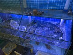 -面道赞宁海海鲜面(迎凤街店)