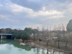-贡湖湾湿地公园