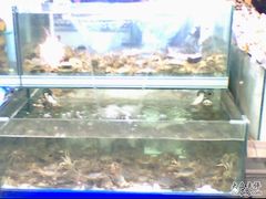 -大润发·停车场