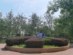 -大港湿地公园