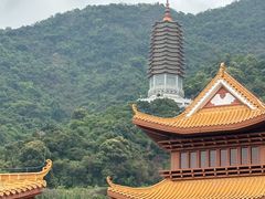 -深圳仙湖植物园