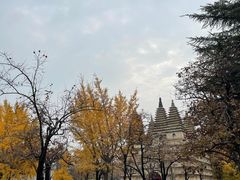 -北京石刻艺术博物馆(五塔寺)