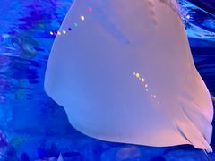 -沈阳海洋探索中心