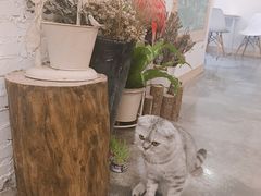 -拾壹cafe·工作室