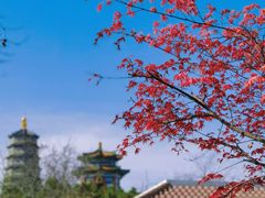 -湛山寺