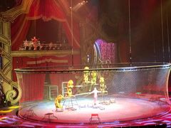 -珠海横琴长隆《卡卡虎奇遇记》