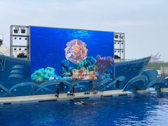 -上海海昌海洋公园