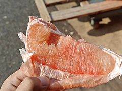 -双福水果批发市场