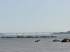 -野狸岛