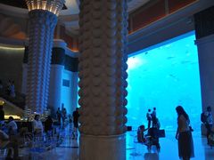 -迪拜水族馆及水下动物园