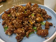 孜然羊肉-京天红酒家(虎坊路店)