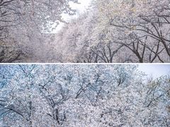 -山东师范大学(千佛山校区)