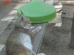 -青藏高原野生动物园