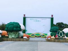 -上海都市菜园