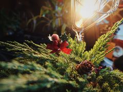 -BUND·FIVE外滩5号(天际店)