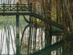 -桤木河湿地公园