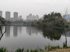 -重庆彩云湖湿地公园