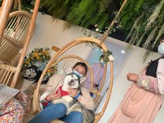 -Husky Go! 哈士奇体验馆·宠物咖啡厅狗咖