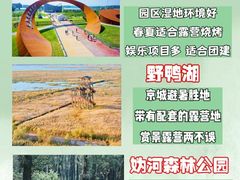 -沉浸北京·团建旅行·密室剧本杀·年会会议轰趴拓展