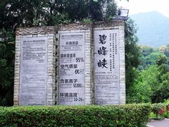 -碧峰峡风景区
