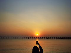 -宝安西湾红树林湿地公园