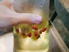 -探窝·竹笙椰子鸡(杨箕店)