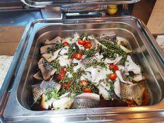 -新龙船黄浦江餐饮游船官方自营店