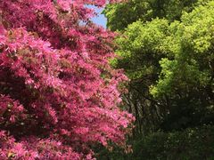 -东湖宾馆-中餐厅