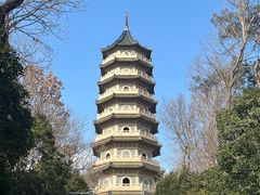 -灵谷景区
