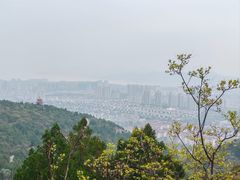 -府君山公园