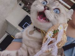 -愉肴麻辣香锅(中山路店)