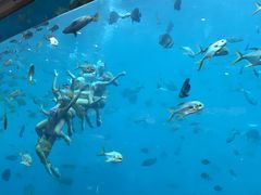-瑞德姆美人鱼海底演艺主题餐厅(亚龙湾店)