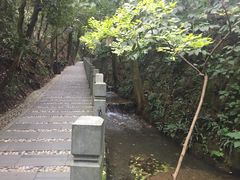 -十八棵（老龙井）御茶园(老龙井店)