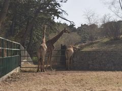 -沈阳森林动物园