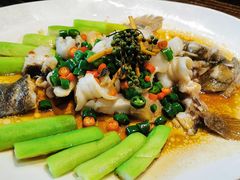 -猪肉婆私房菜(容桂总店)