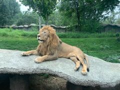 -北京野生动物园