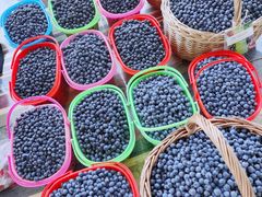 -金谷域澳洲庄园