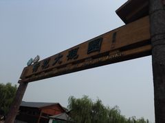 -白洋淀景区
