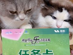 -上海第一八佰伴